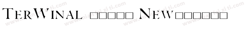 TerWinal 88591 New字体转换